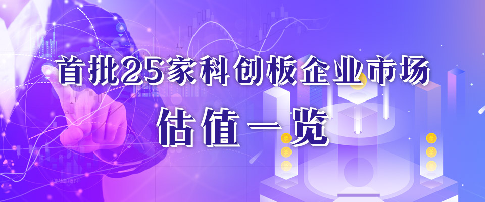 科創(chuàng)板25家公司