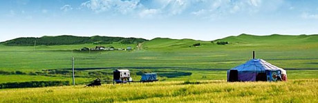 ��(n��i)�ɹ�