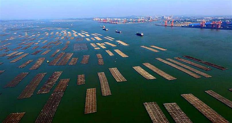 ����(j��ng)��(j��)����1���V���J�ݣ��B(y��ng)ֳ��ϖ ���r(n��ng)����