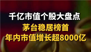 千億市值個(gè)股大盤點(diǎn) 茅臺(tái)穩(wěn)居榜首 年內(nèi)市值增長(zhǎng)超8000億_副本.jpg