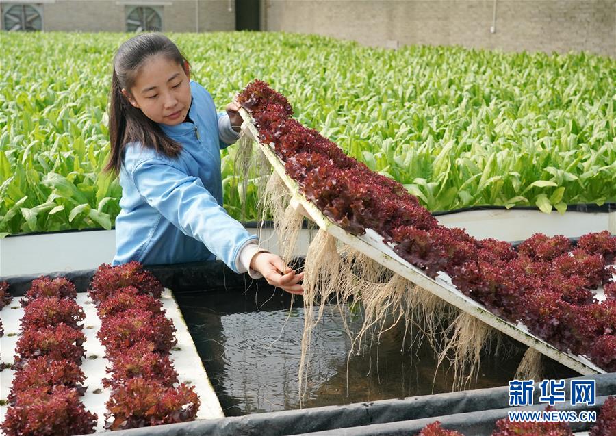 �����Aȫý�^�l���D�Ļ���(d��ng)����2����(x��)��ƽ�ķ�ؚ����