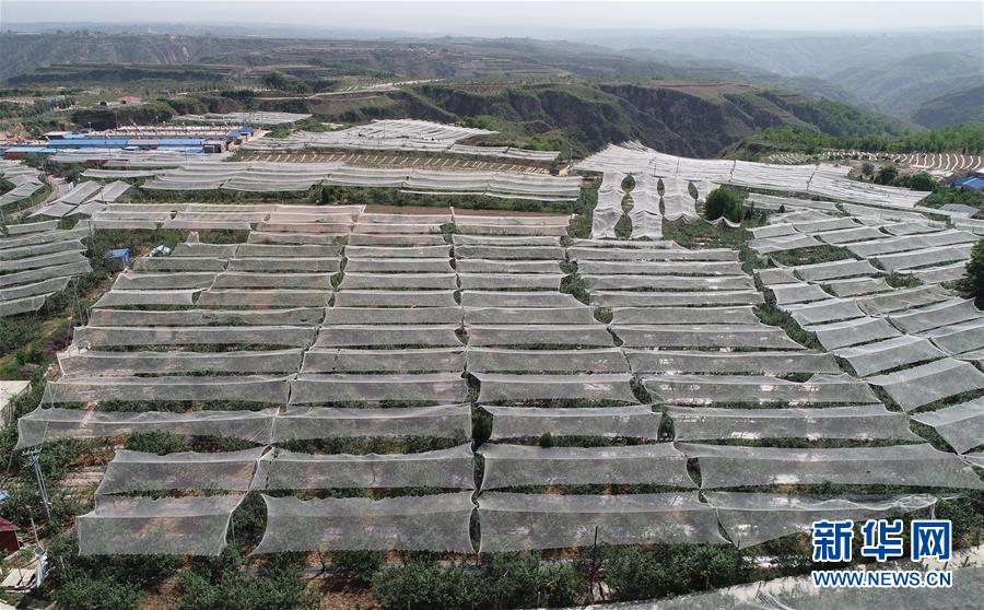 �����Aȫý�^�l���D�Ļ���(d��ng)����1����(x��)��ƽ�ķ�ؚ����