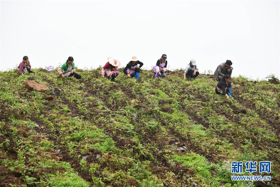 �����Aȫý�^�l���D�Ļ���(d��ng)����18����(x��)��ƽ�ķ�ؚ����