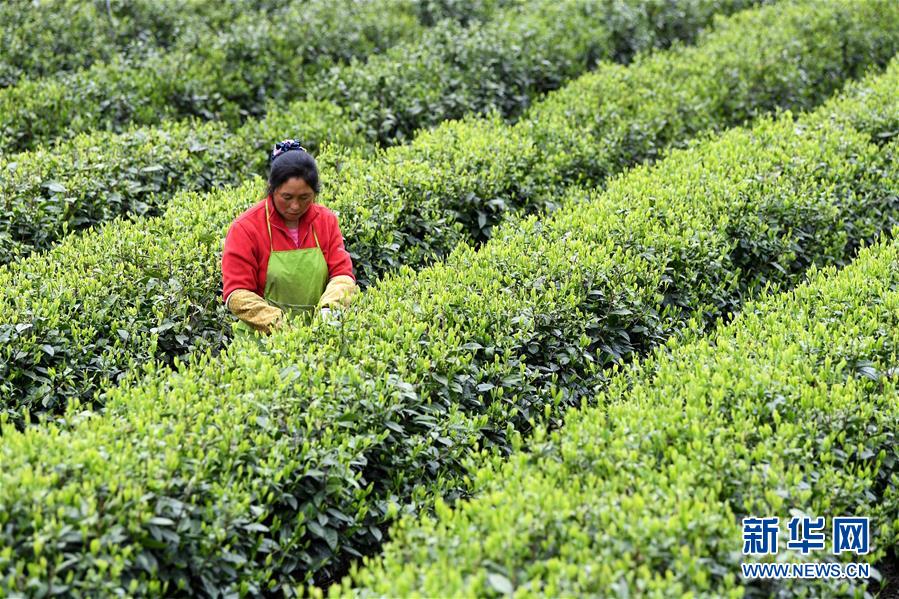 �����Aȫý�^�l���D�Ļ���(d��ng)����21����(x��)��ƽ�ķ�ؚ����