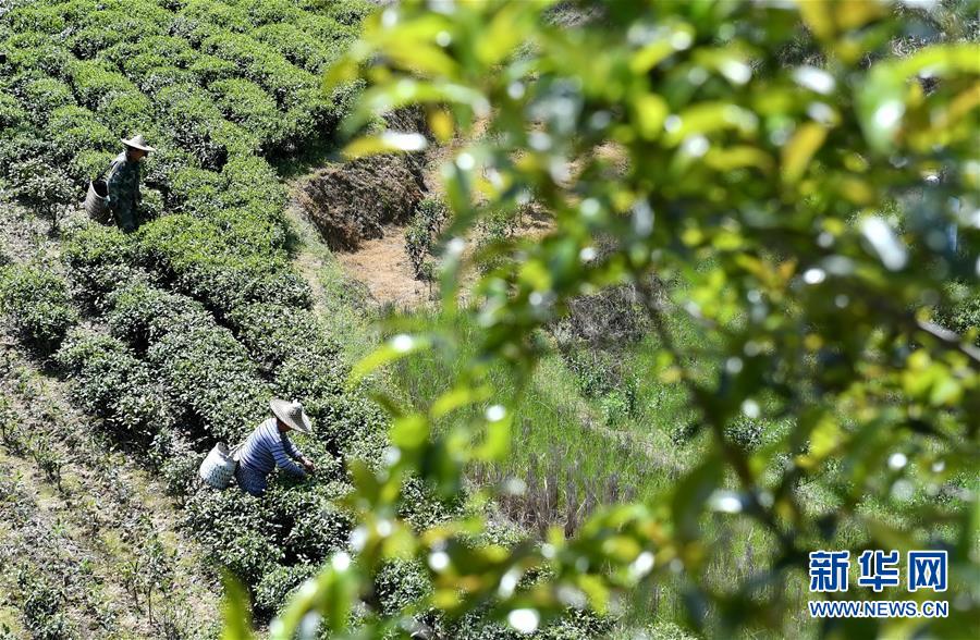 �����Aȫý�^�l���D�Ļ���(d��ng)����24����(x��)��ƽ�ķ�ؚ����