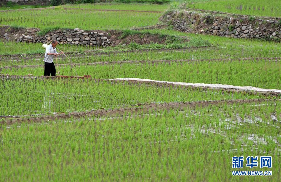 (新華全媒頭條·走向我們的小康生活·圖文互動)(11)大山深處有“新家”——大別山村繪出現(xiàn)代版“富春山居圖”