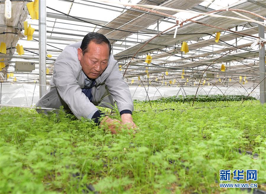 �������҂���С������Q��(zh��n)�Q��Óؚ����(ji��n)���D�Ļ���(d��ng)����1����ԭϲҊ(ji��n)���۹�G�������������ݼ����ϵ��߲˰l(f��)չ���E