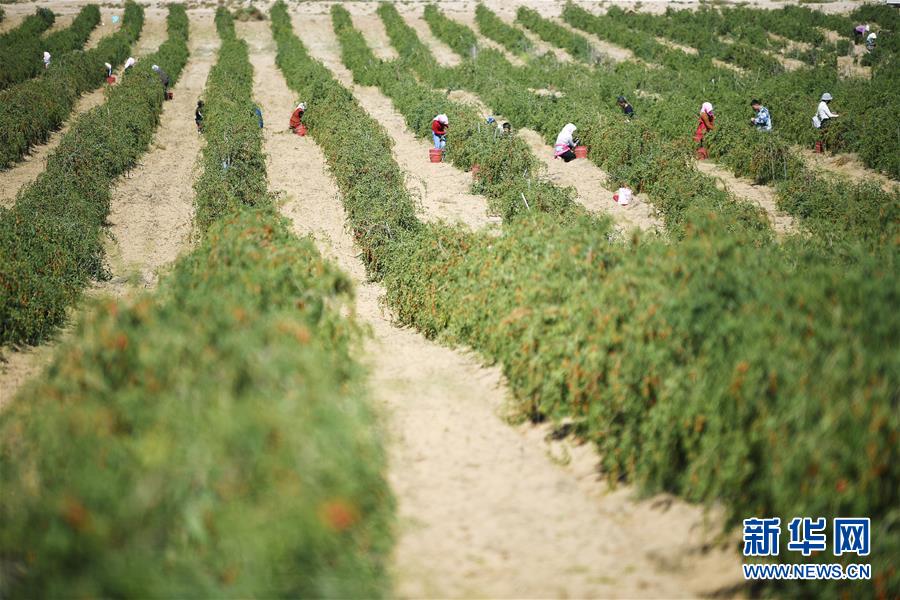 �����Aȫý�^�l�������҂���С������D�Ļ���(d��ng)����7��23�f�˵����\(y��n)�D(zhu��n)�ۡ����҇�����׵����B(t��i)�����Å^(q��)��Óؚ�ܴa