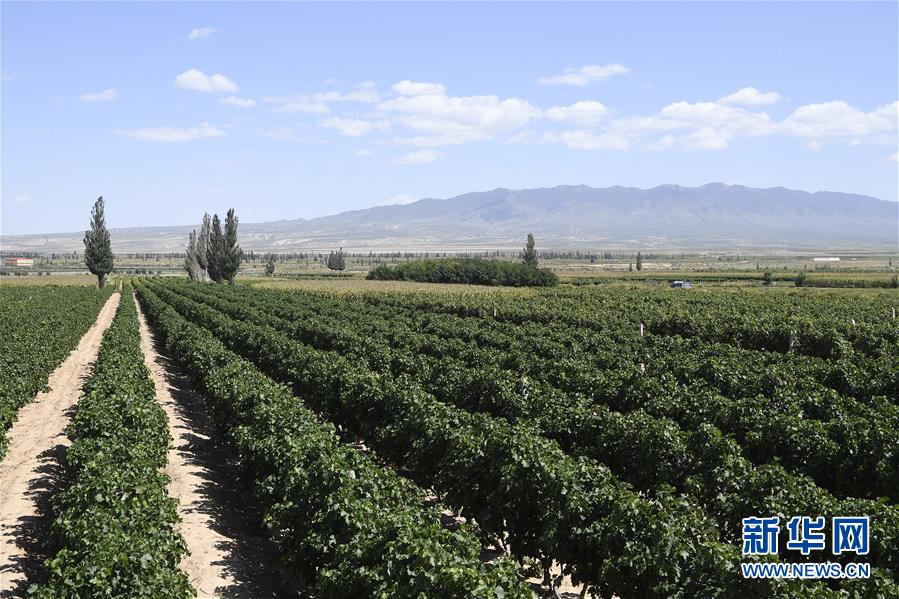 �����Aȫý�^�l�������҂���С������D�Ļ���(d��ng)����9��23�f�˵����\(y��n)�D(zhu��n)�ۡ����҇�����׵����B(t��i)�����Å^(q��)��Óؚ�ܴa