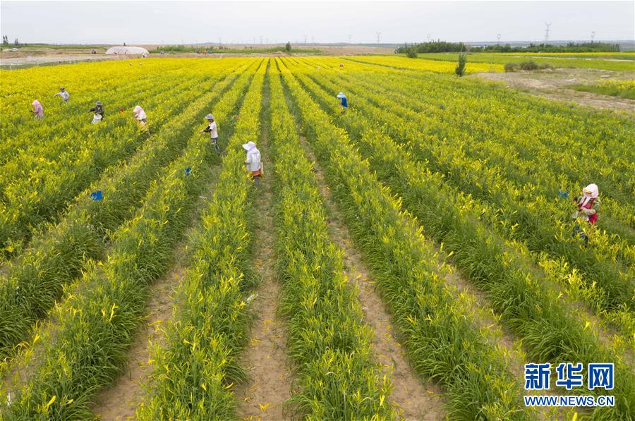 �����Aȫý�^�l�������҂���С������D�Ļ���(d��ng)����11��23�f�˵����\(y��n)�D(zhu��n)�ۡ����҇�����׵����B(t��i)�����Å^(q��)��Óؚ�ܴa