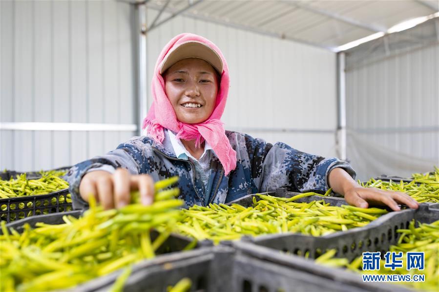 �����Aȫý�^�l�������҂���С������D�Ļ���(d��ng)����12��23�f�˵����\(y��n)�D(zhu��n)�ۡ����҇�����׵����B(t��i)�����Å^(q��)��Óؚ�ܴa