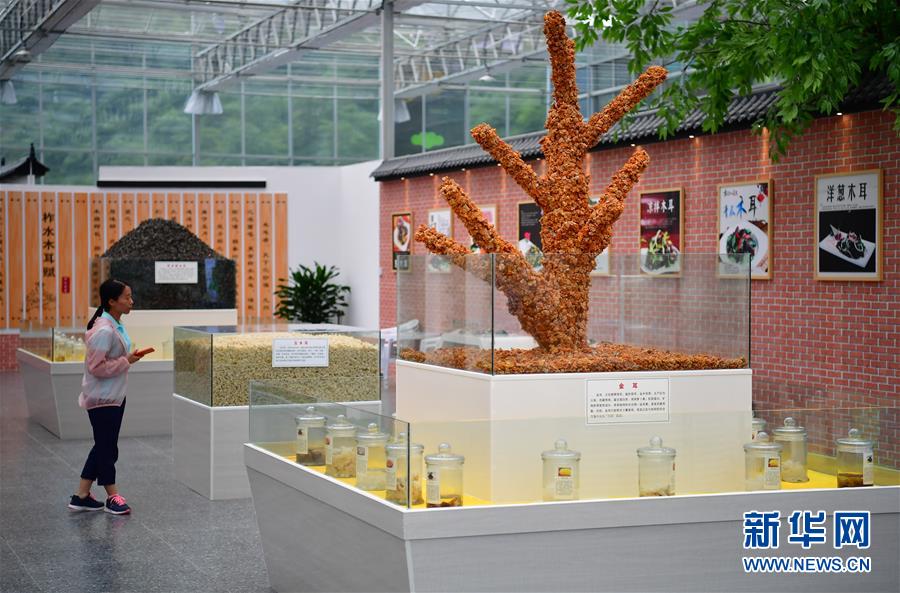 �����Aȫý�^�l�������҂���С������D�Ļ���(d��ng)����4��ۏ���GɫС��·��������ذ�ɽ�^(q��)��Óؚ���