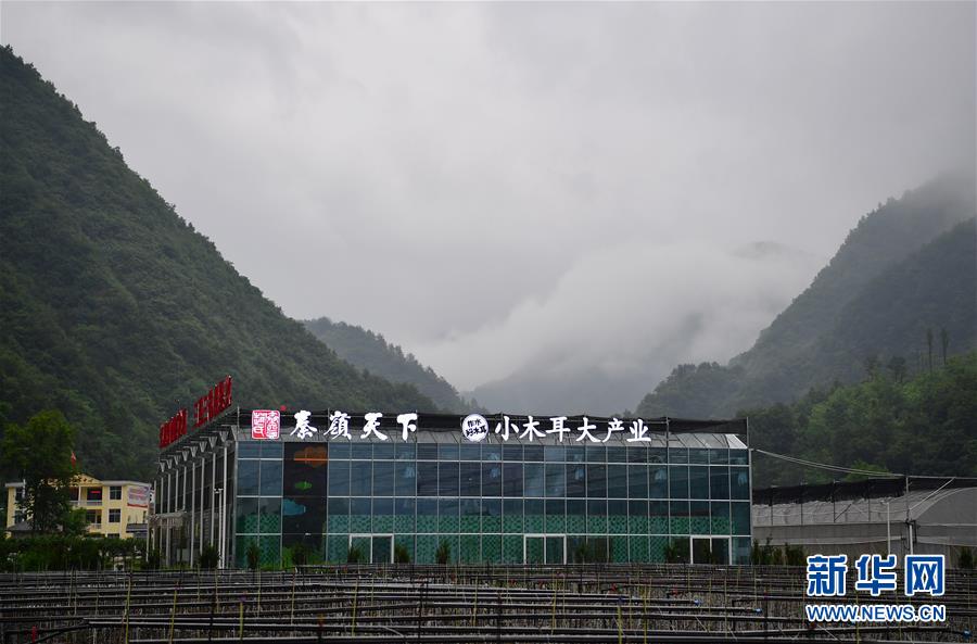 �����Aȫý�^�l�������҂���С������D�Ļ���(d��ng)����3��ۏ���GɫС��·��������ذ�ɽ�^(q��)��Óؚ���