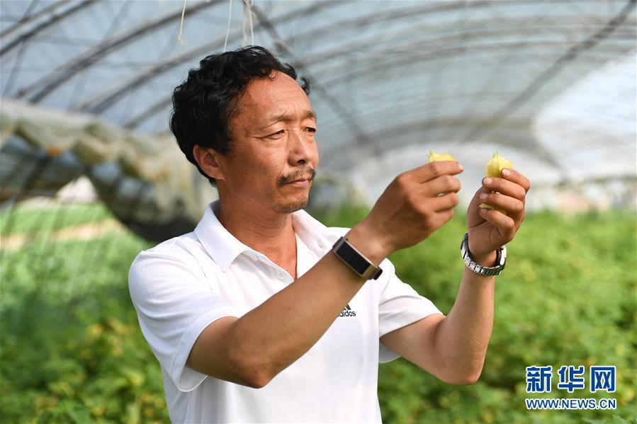 �����Aȫý�^�l�������҂���С������D�Ļ��ӣ���7�������������Ҽҡ����ڼ�����һƳ�Ї��|���l(xi��ng)������δ��