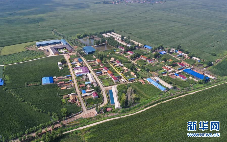 �����Aȫý�^�l�������҂���С������D�Ļ��ӣ���12�������������Ҽҡ����ڼ�����һƳ�Ї��|���l(xi��ng)������δ��