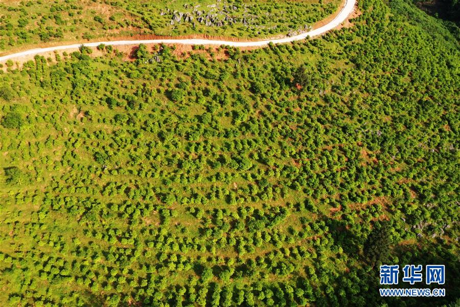 ����(j��ng)��(j��)����3���ؑc�����ڡ���Ѫ���l(xi��ng)��a(ch��n)�I(y��) �����r(n��ng)��Óؚ����