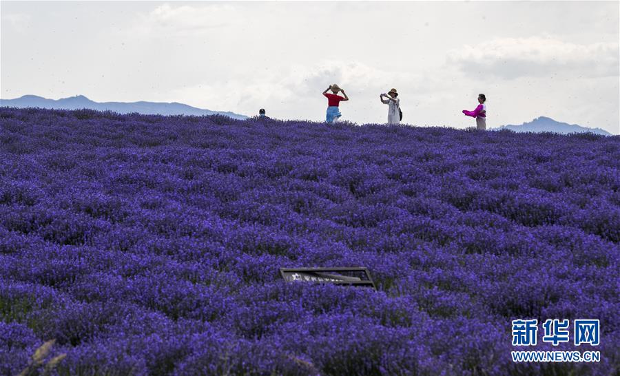 ���������1���½�������ɫ��䁾��¸�·