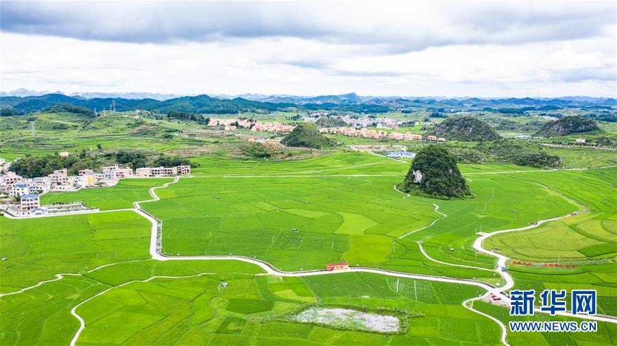 (新華全媒頭條·圖文互動)(1)脫下軍裝,奔赴沒有硝煙的“戰(zhàn)場”——貴州“兵支書”脫貧攻堅一線顯身手