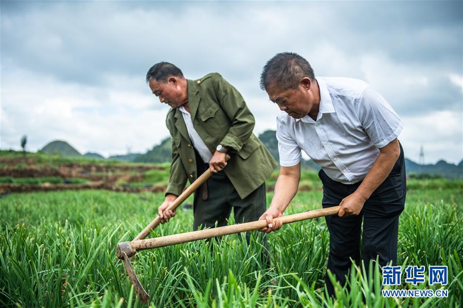 (新華全媒頭條·圖文互動)(5)脫下軍裝,奔赴沒有硝煙的“戰(zhàn)場”——貴州“兵支書”脫貧攻堅一線顯身手