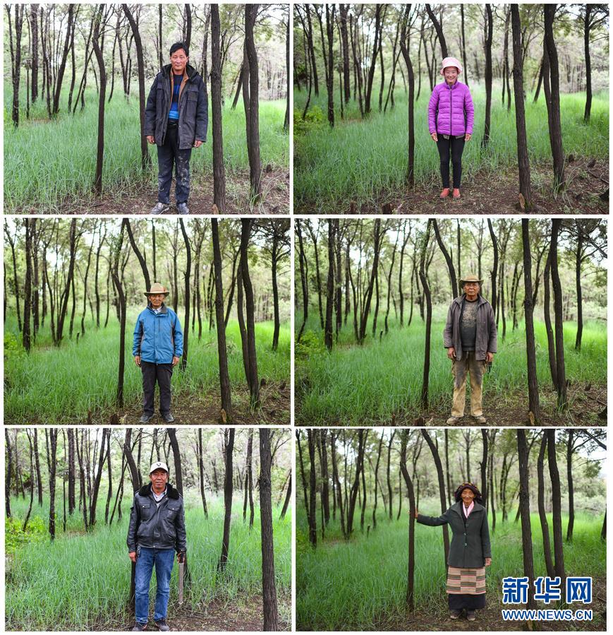 (新華全媒頭條·圖文互動)(7)莊重的承諾 歷史的奇跡——西藏自治區(qū)決戰(zhàn)脫貧攻堅紀(jì)實