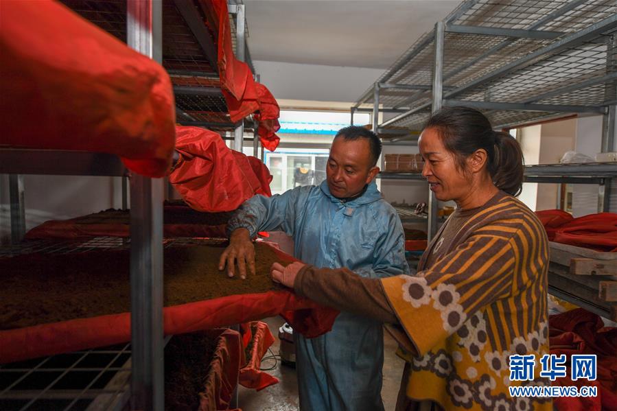 (決戰(zhàn)決勝脫貧攻堅(jiān)·圖文互動(dòng))(5)從“因殘致貧”到“帶頭脫貧”——吉林靖宇有這樣一位“脫貧英雄”